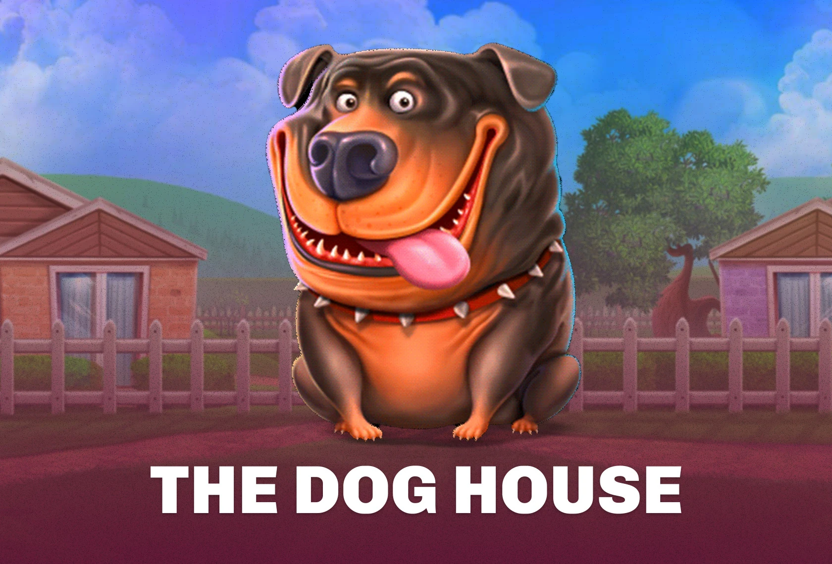 The Dog House